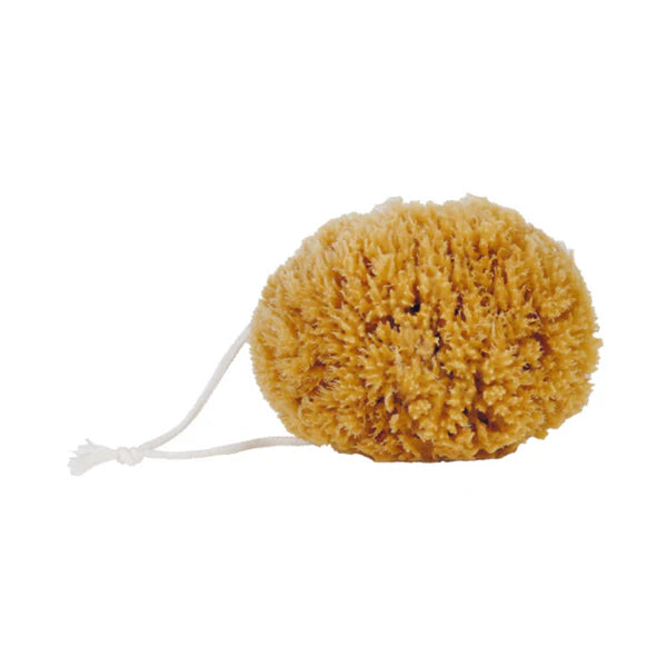Natural Sea Sponge