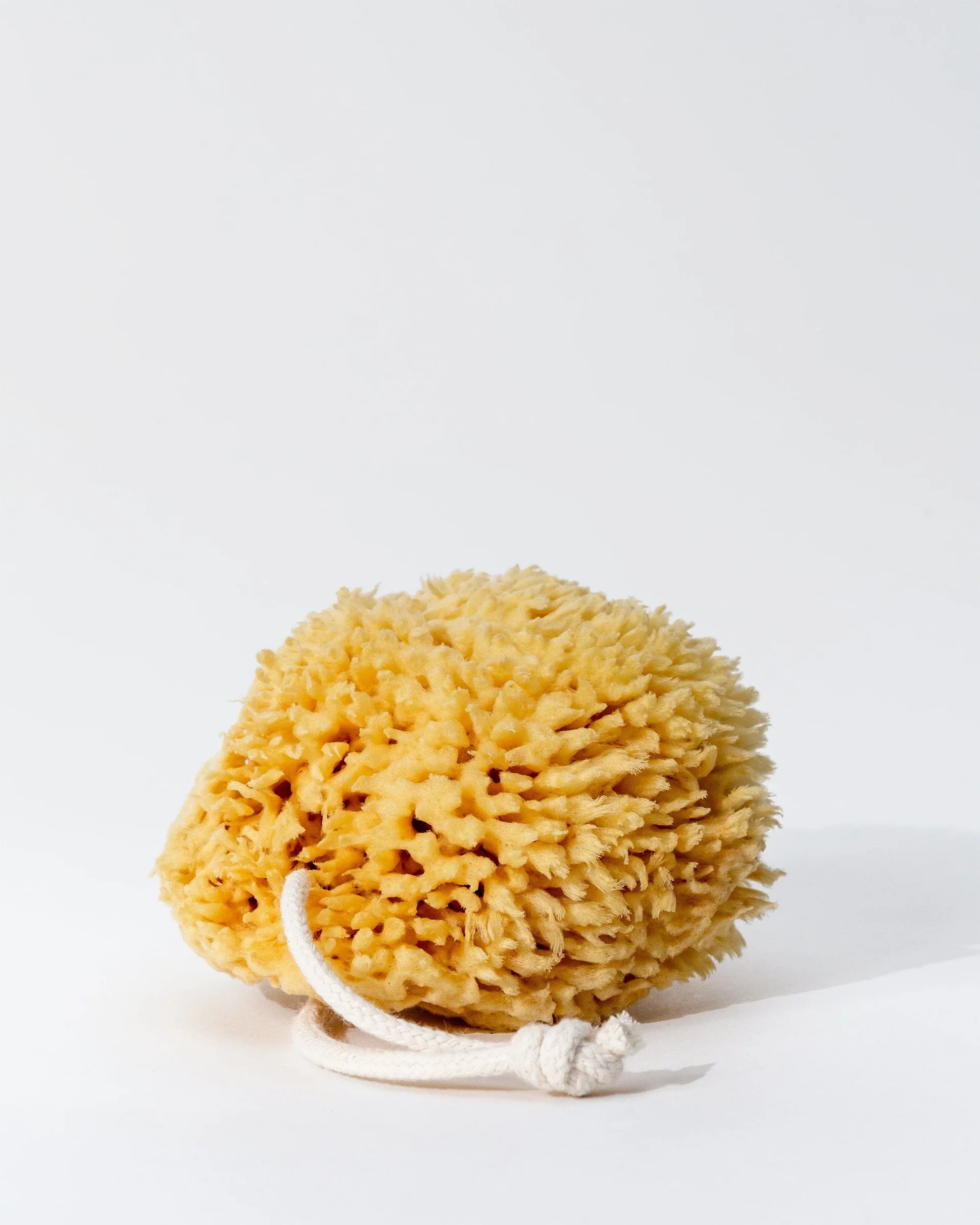 Natural Sea Sponge